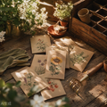 Garden Herb Seeds Collection 10 Varieties