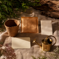Miniature Redwood Seedling Grow Kit